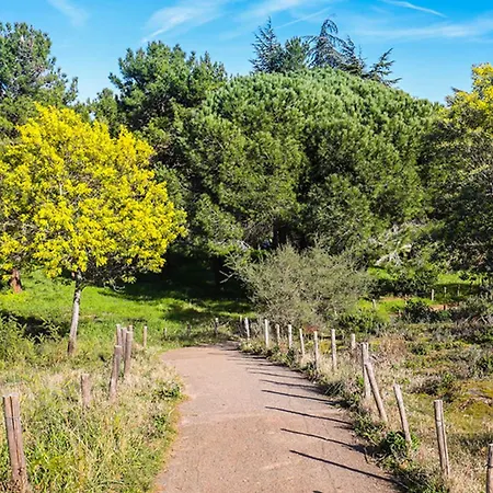 Modern House's - Swimming Pools Ac And Garage - Benakey Сasa de vacaciones *